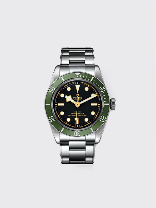[TW공장] 튜더 블랙베이 41mm 스틸 그린 M7941A1A0NU-0003